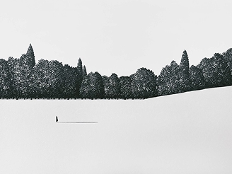 Winter forest